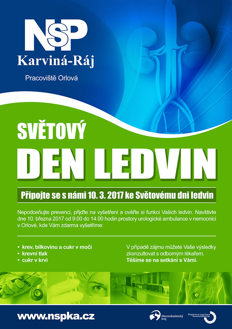 20170209 dooffy plakat nspka den ledvin A4 orlova small